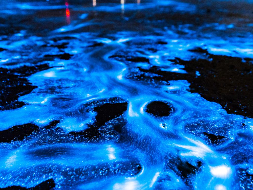 The best places to see bioluminescence in Australia | The Australian