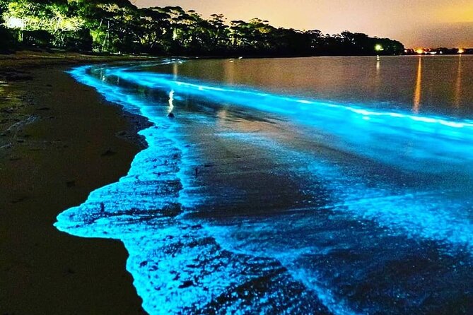 Cocoa Beach Small-Group Bioluminescent Clear Kayak Tour 2023