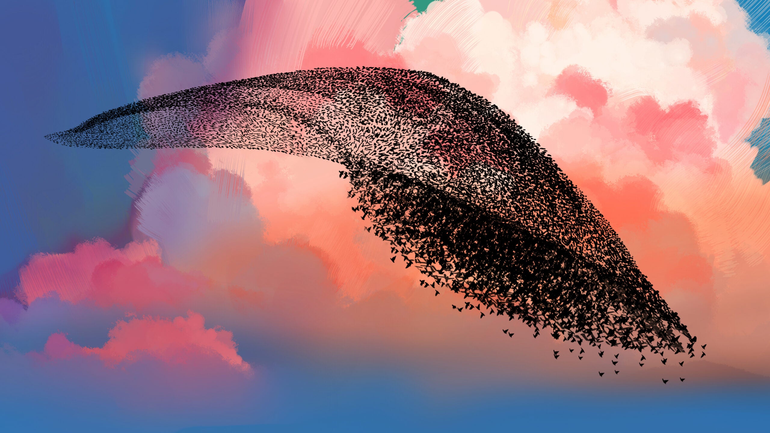 How starling murmurations work | Popular Science