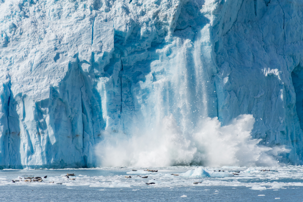 Iceberg calving near wildlife