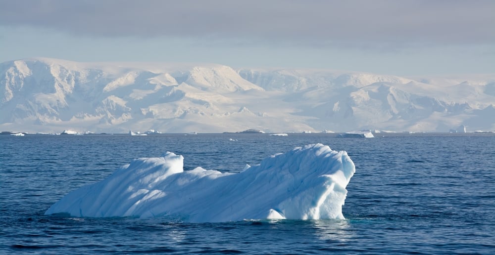 giant icebergs from Greenland floating around